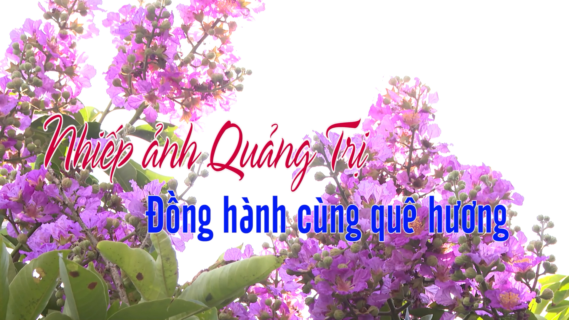 Văn hóa Quảng Trị: Nhiếp ảnh Quảng Trị đồng hành cùng quê hương (16.05.2024)